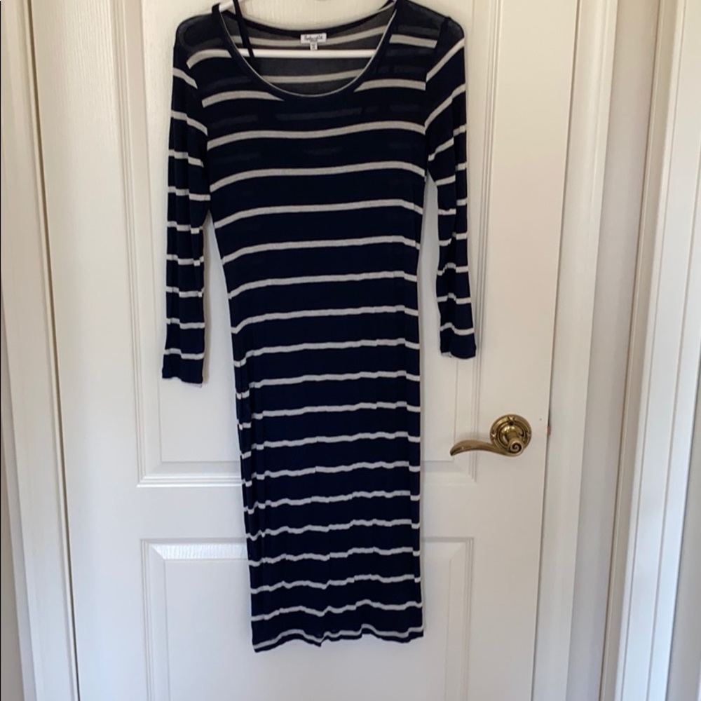 Splendid long Sleeve dress with Slip